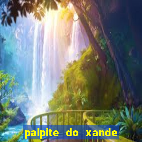 palpite do xande de hoje