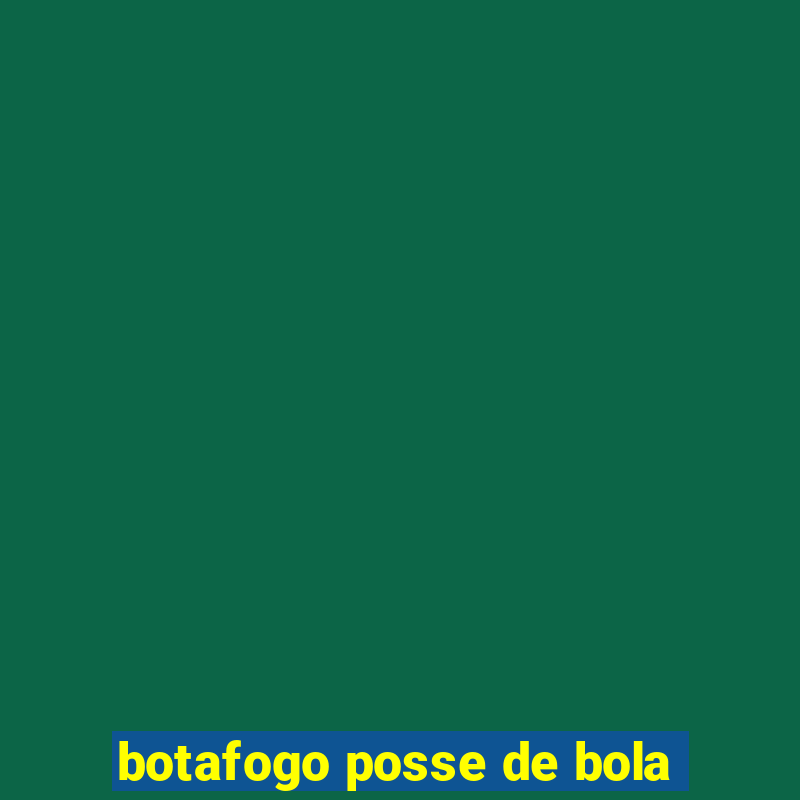 botafogo posse de bola