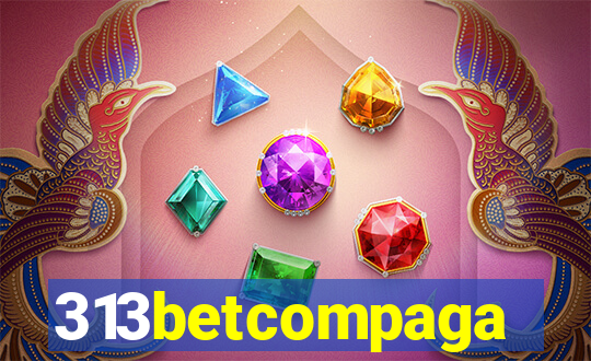 313betcompaga