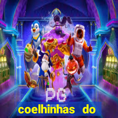 coelhinhas do brasil recife