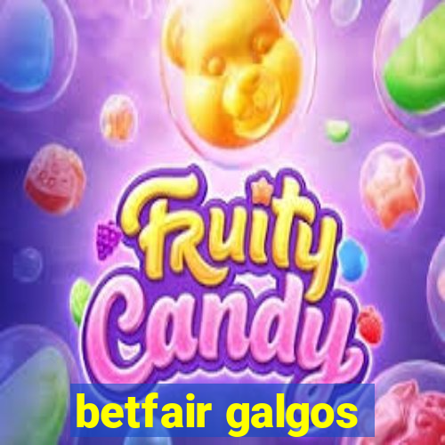 betfair galgos